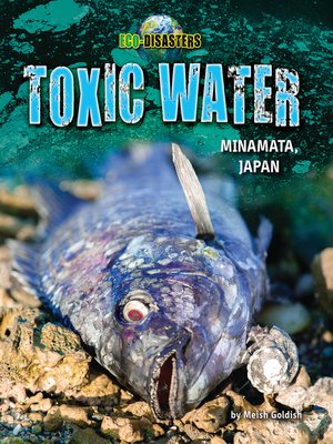 cover image of Toxic Water